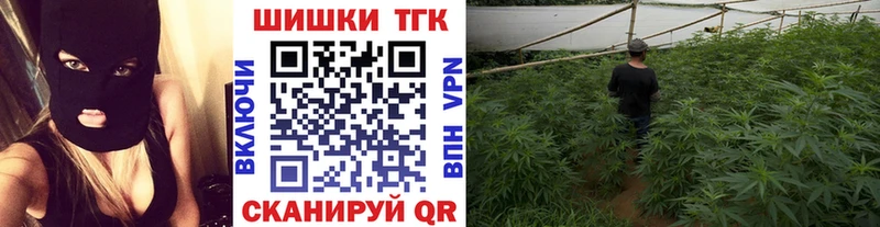 kraken вход  где можно купить наркотик  Сасово  Марихуана тримм 